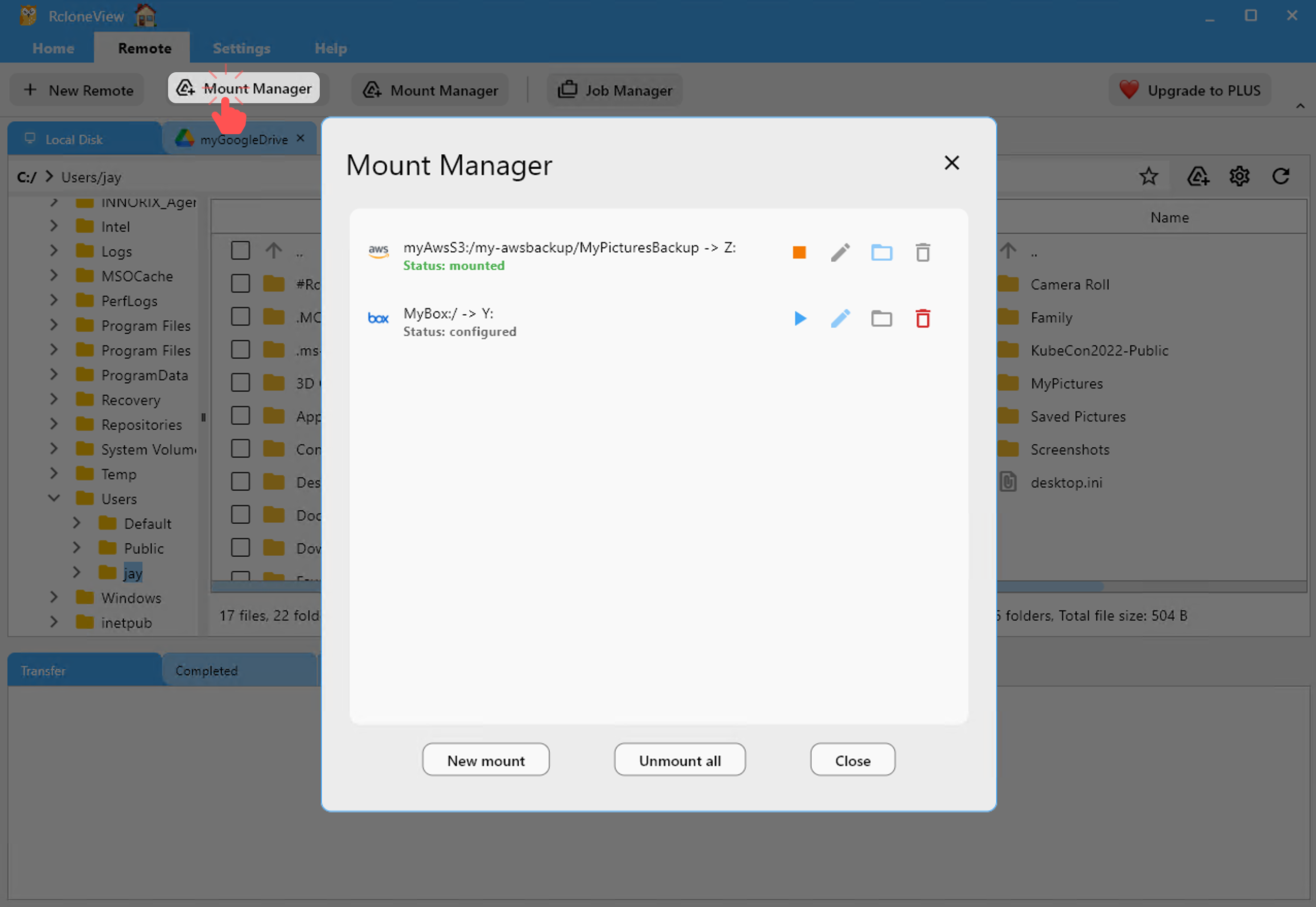 mount manager status