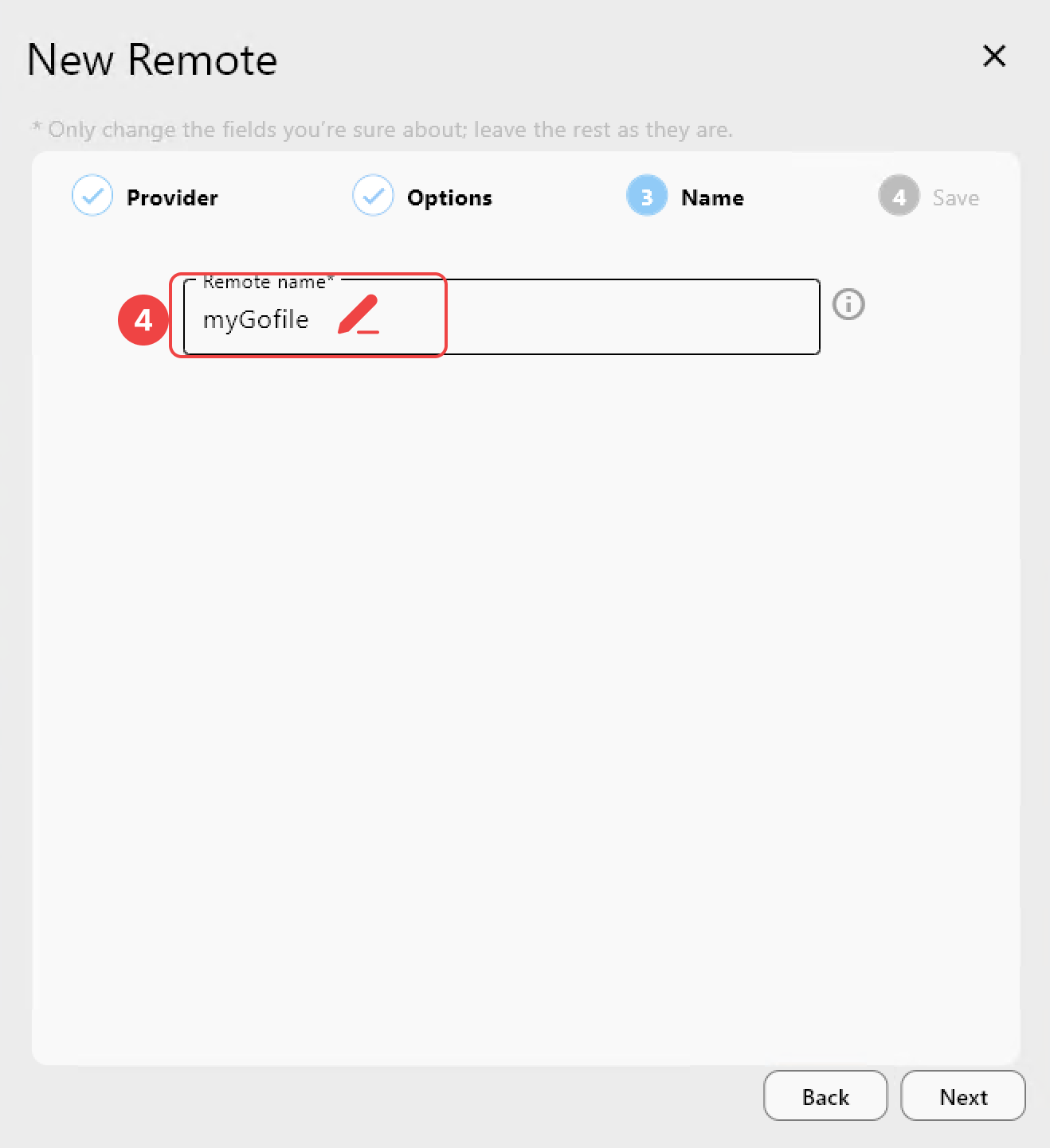 add go file remote name